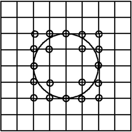 the lattice